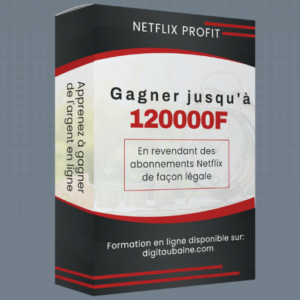 Netflix Profit